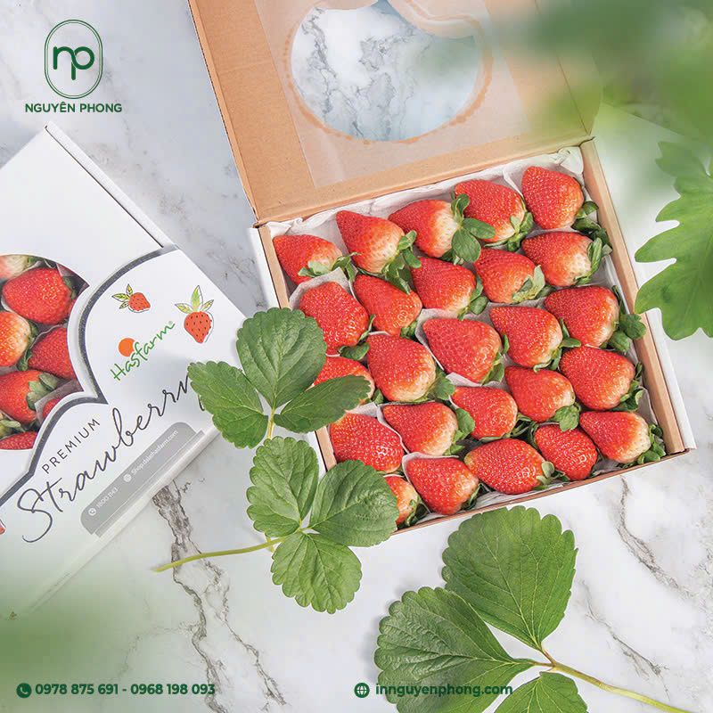 In hộp đựng dâu tây: Thu hút khách hàng từ ánh nhìn đầu tiên